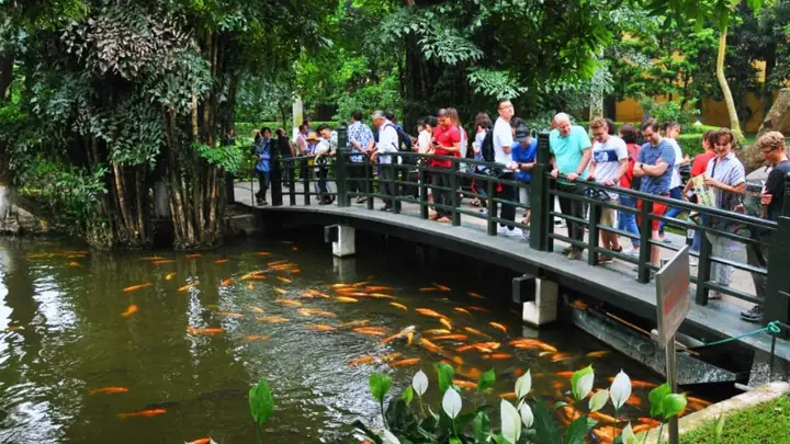 Ghé Thăm Ao Cá Bác Hồ Tại Khu Di Tích Chủ Tịch Hồ Chí Minh | Xanh ...