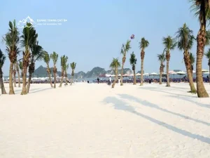 Du Lịch Ở Đâu Tốt Hơn: Bãi Cháy Hay Cát Bà?
