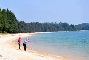 Bãi Tắm Đầu Rồng (quảng Ninh) Trở Thành Bãi Tắm Du Lịch