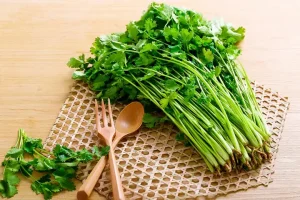 Những Tác Dụng Không Ngờ Của Rau Mùi Đối Với Sức Khỏe