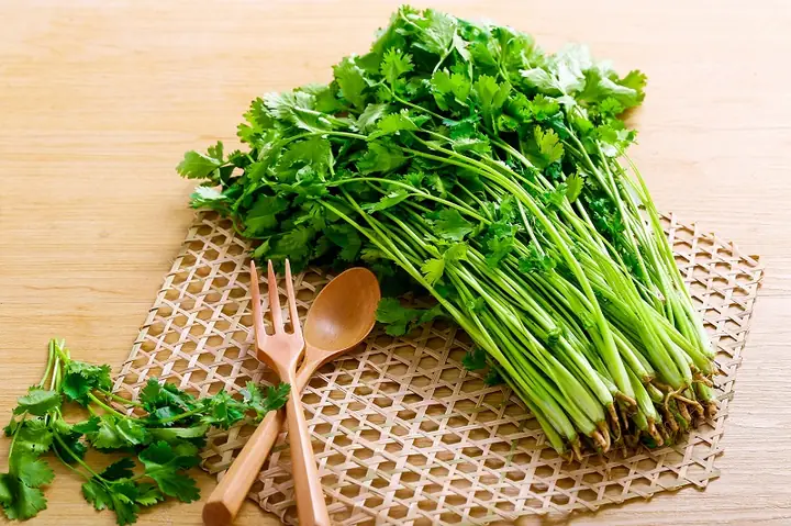 Những Tác Dụng Không Ngờ Của Rau Mùi Đối Với Sức Khỏe