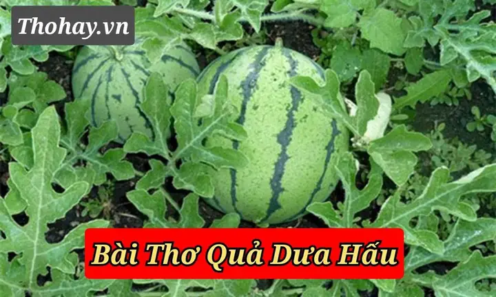 Tranh Thơ Bó Hoa Tặng Cô
