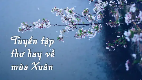 74 Bài Thơ Về Mùa Xuân Rộn Ràng, Giàu Cảm Xúc