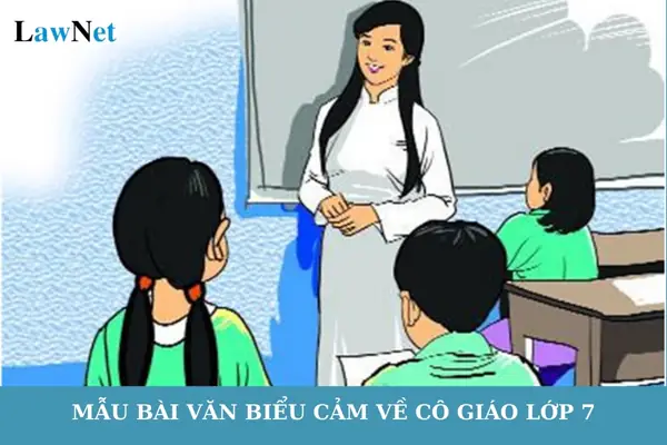 Mẫu Bài Văn Biểu Cảm Về Cô Giáo Lớp 7? Mức Phụ Cấp Thâm Niên Của ...
