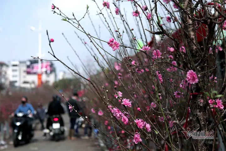 Văn Khấn Giao Thừa Ngoài Trời Đón Năm Mới Giáp Thìn 2024 Văn Khấn Giao Thừa Ngoài Trời Đón Năm Mới Giáp Thìn 2024