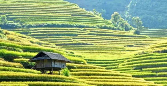 Bản Đồ Du Lịch Miền Bắc Chi Tiết Từ A-z 2025