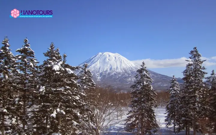 Khu Trượt Tuyết Niseko