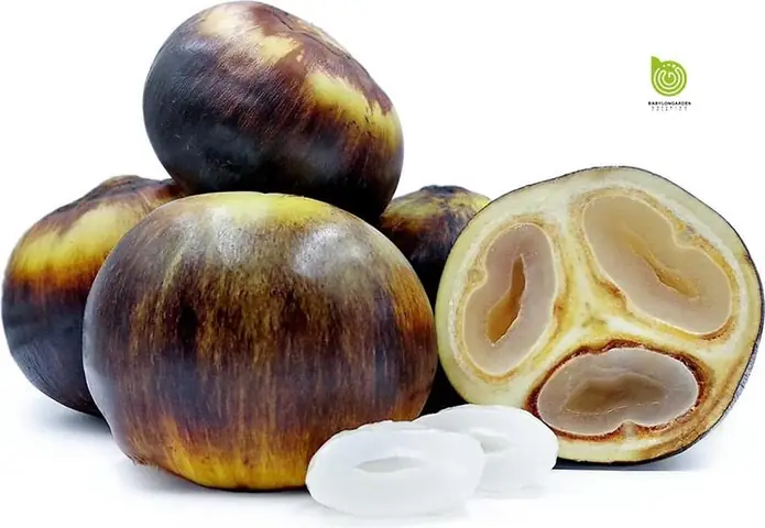 Nghệ Thuật Ủ Bột Và Hấp Bánh Bò Hoàn Hảo Nghệ Thuật Ủ Bột Và Hấp Bánh Bò Hoàn Hảo