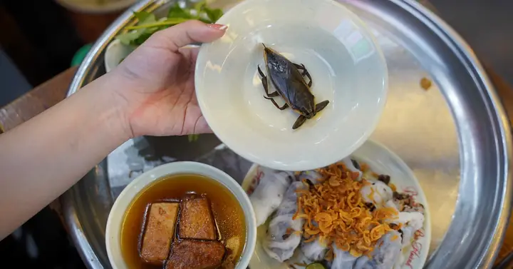 Quán Bánh Cuốn Ăn Kèm Cà Cuống 'đắt Nhất Nhì' Hà Nội, Ngày Bán ...