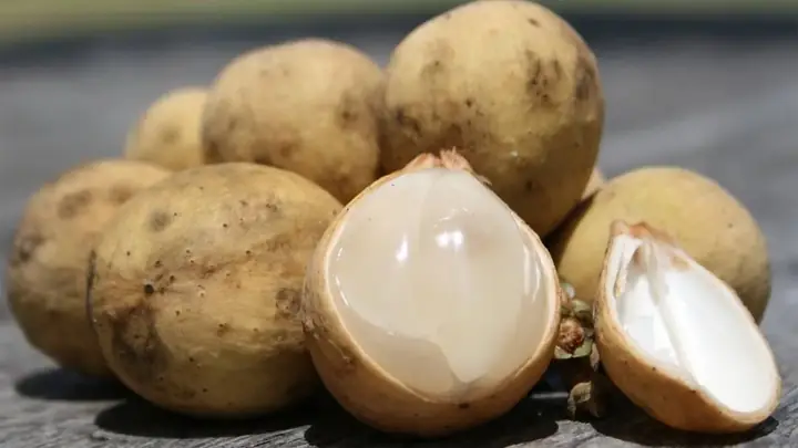 12. Quả Bòn Bon