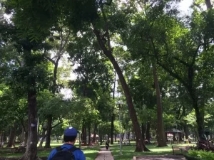 Cong Vien Tao Dan (park): We Found A Brief Reprieve In A Quiet And Shaded Park.