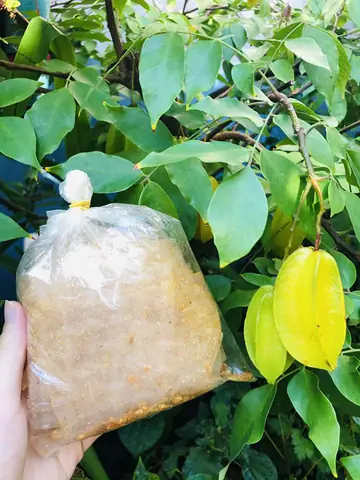 Bánh Tráng Xike Siêu Cay Bánh Tráng Xike Siêu Cay