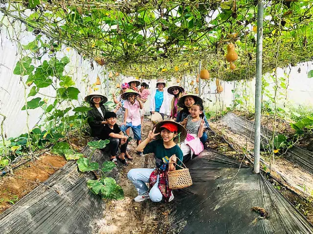 Một Ngày Làm Nông Dân Tại Bảo Gia Farm