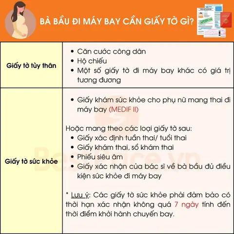 Bà Bầu Đi Máy Bay Cần Giấy Tờ Gì?