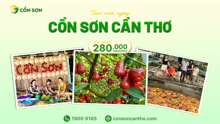 Tour Cồn Sơn Nửa Ngày Khởi Hành Từ Bến Đò Cô Bắc