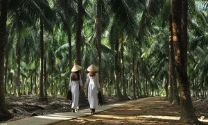 Cẩm Nang Du Lịch Bến Tre 2024: Top 12 Địa Điểm Phải Đến Cho Du ...
