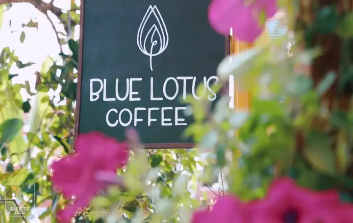 Blue Lotus Coffee Shop