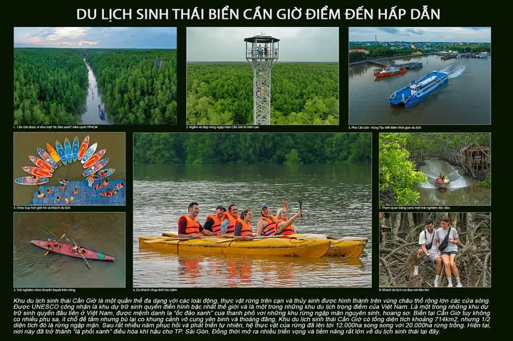 Du Lịch Sinh Thái Biển Cần Giờ Thành Phố Hồ Chí Minh Điểm Đến Hấp Dẫn Của Du Khách - 1