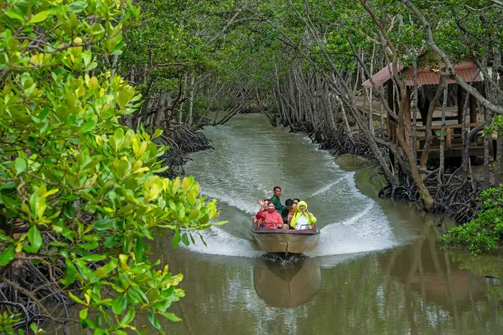 Du Lịch Sinh Thái Biển Cần Giờ Thành Phố Hồ Chí Minh Điểm Đến Hấp Dẫn Của Du Khách - 8
