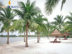 Hướng Dẫn Di Chuyển