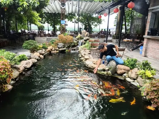 Top 5 Quán Cà Phê Cá Koi Nổi Bật Nhất Tại Hải Phòng Top 5 Quán Cà Phê Cá Koi Nổi Bật Nhất Tại Hải Phòng