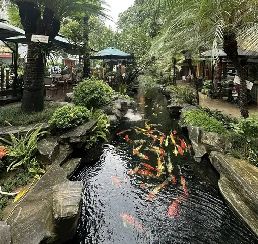 Check In Top 5 Quán Cafe Cá Koi Hải Phòng Nổi Tiếng Nhất Hiện Nay Check In Top 5 Quán Cafe Cá Koi Hải Phòng Nổi Tiếng Nhất Hiện Nay