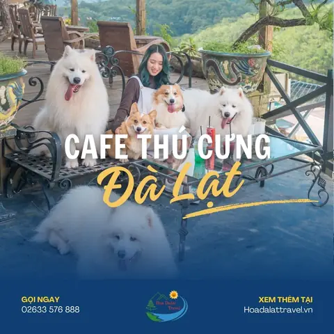 Top 14 Quán Cafe Thú Cưng Đà Lạt Siêu Cute, Nhất Định Phải Đến