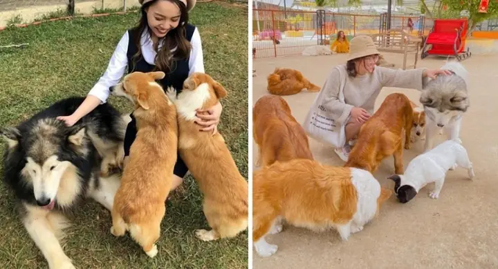 Có Gì Hot Ở Những Quán Cà Phê Thú Cưng Đà Lạt