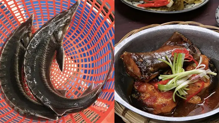 Cá Tầm Chế Biến Món Gì