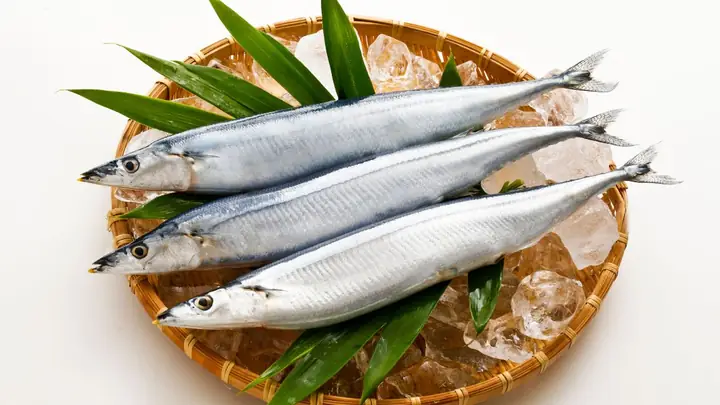 Cá Thu Đao Là Cá Gì? Cá Thu Đao Nấu Món Gì Ngon?
