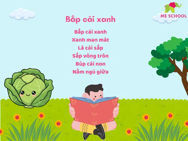 Bắp Cải Xanh