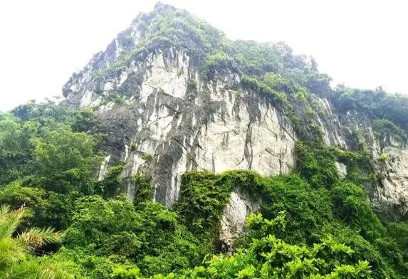 Các Hang Động Nổi Tiếng Ở Việt Nam Thường Xuất Hiện Ở Đâu? Các Hang Động Nổi Tiếng Ở Việt Nam Thường Xuất Hiện Ở Đâu?