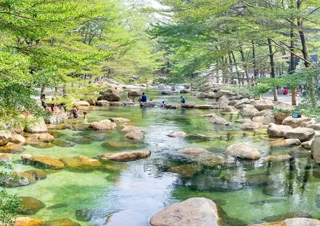 15+ Khu Du Lịch Sinh Thái Gần Sài Gòn Hút Khách Du Lịch