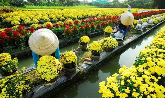Làng Hoa Tân Quy Äông