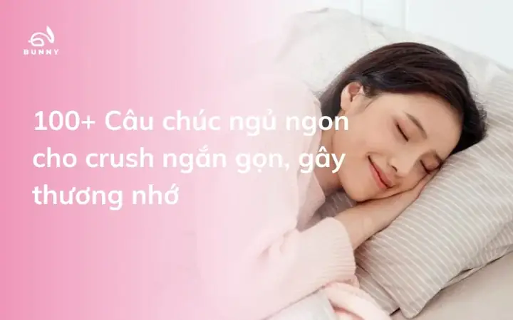 100+ Câu Chúc Ngủ Ngon Cho Crush Ngắn Gọn, Gây Thương Nhớ