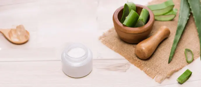 Bật Mí Cách Làm Sữa Chua Nha Đam Sánh Mịn, Thơm Ngon Tại Nhà