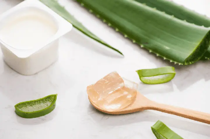 Cách Làm Nha Đam Sữa Chua | Vinmec