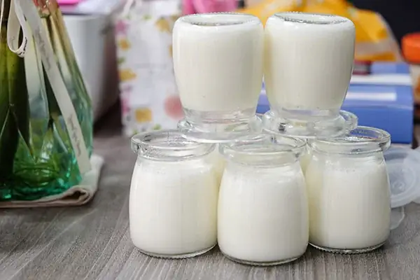 Làm Sữa Chua
