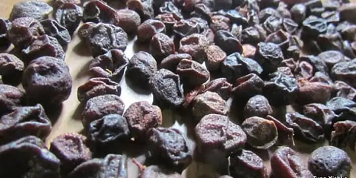 Chuẩn Bị Gia Vị :