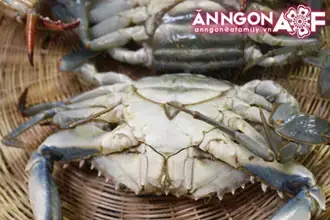 Giới Thiệu Về Miến Cua Bể Hải Phòng Giới Thiệu Về Miến Cua Bể Hải Phòng