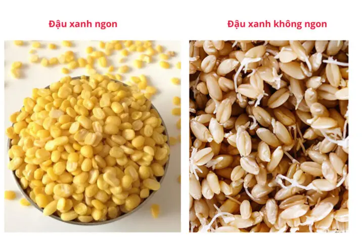 Gạo Nếp Và Đậu Xanh: Linh Hồn Của Món Xôi