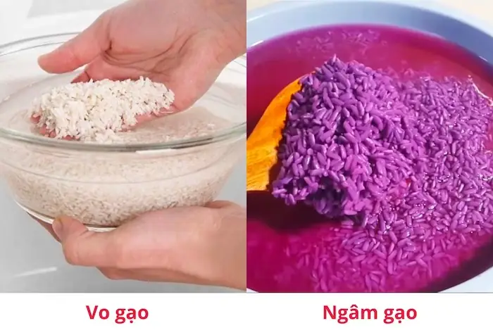 Gạo Nếp Gạo Nếp