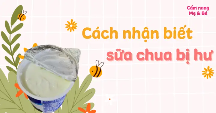 Các Cách Nhận Biết Sữa Chua Bị Hư, Hết Hạn Sử Dụng Đơn Giản