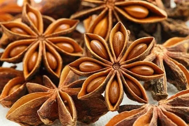 Hoa Hồi Là Gì? Hoa Hồi Là Gì?