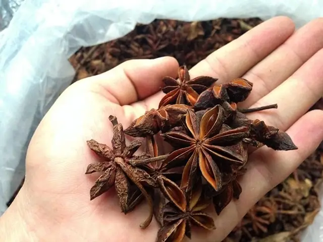 Trong Chăm Sóc Sức Khỏe Trong Chăm Sóc Sức Khỏe