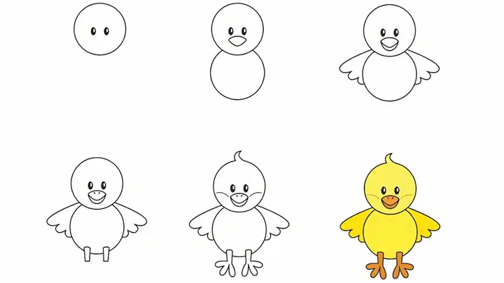 Cách Vẽ Con Vật Vịt Con Cách Vẽ Con Vật Vịt Con