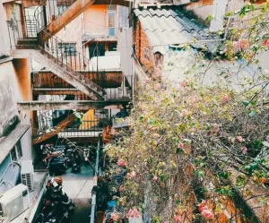 Chung Cư Tôn Thất Đạm – Điểm Check-in Siêu Hot Tại Sài Gòn
