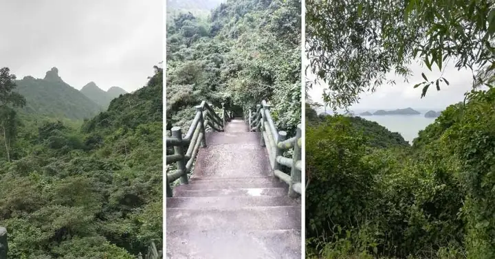 Take A Hike Through Cat Ba’s Jungle Interior And National Park