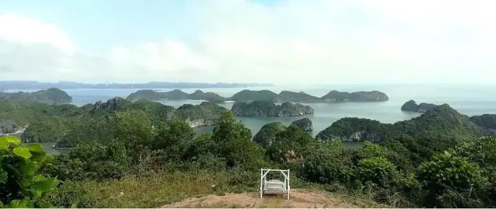Walk Up The Paved Road To Cannon Fort On Cat Ba Island