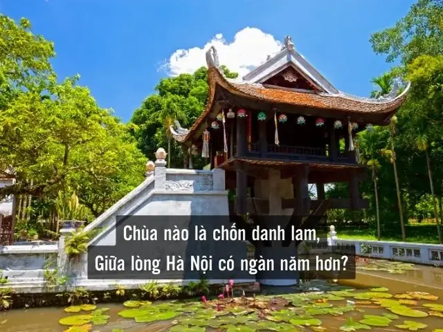 Câu Đố 10